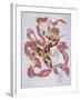 Vaslav Nijinsky in the Ballet the Afternoon of a Faun by C. Debussy-L?on Bakst-Framed Giclee Print