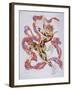 Vaslav Nijinsky in the Ballet the Afternoon of a Faun by C. Debussy-L?on Bakst-Framed Giclee Print