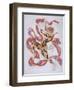 Vaslav Nijinsky in the Ballet the Afternoon of a Faun by C. Debussy-L?on Bakst-Framed Giclee Print