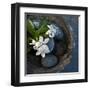 Vasque et Fleures-Catherine Beyler-Framed Art Print