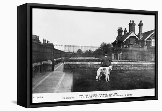 Vassilka, Pet Dog of Queen Mary of Teck-null-Framed Stretched Canvas