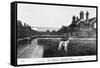 Vassilka, Pet Dog of Queen Mary of Teck-null-Framed Stretched Canvas