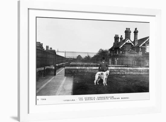 Vassilka, Pet Dog of Queen Mary of Teck-null-Framed Photographic Print