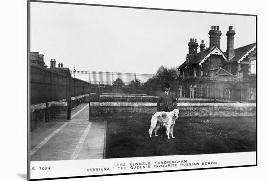 Vassilka, Pet Dog of Queen Mary of Teck-null-Mounted Photographic Print