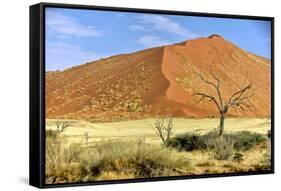 Vast Dune at Sossusvlei Namib Naukluft Park Namibia-photogallet-Framed Stretched Canvas