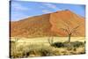 Vast Dune at Sossusvlei Namib Naukluft Park Namibia-photogallet-Stretched Canvas