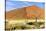 Vast Dune at Sossusvlei Namib Naukluft Park Namibia-photogallet-Stretched Canvas