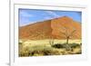 Vast Dune at Sossusvlei Namib Naukluft Park Namibia-photogallet-Framed Photographic Print