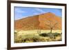 Vast Dune at Sossusvlei Namib Naukluft Park Namibia-photogallet-Framed Photographic Print