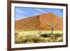 Vast Dune at Sossusvlei Namib Naukluft Park Namibia-photogallet-Framed Photographic Print