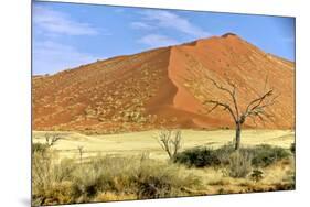 Vast Dune at Sossusvlei Namib Naukluft Park Namibia-photogallet-Mounted Photographic Print