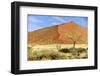 Vast Dune at Sossusvlei Namib Naukluft Park Namibia-photogallet-Framed Photographic Print