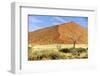 Vast Dune at Sossusvlei Namib Naukluft Park Namibia-photogallet-Framed Photographic Print