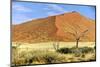 Vast Dune at Sossusvlei Namib Naukluft Park Namibia-photogallet-Mounted Photographic Print
