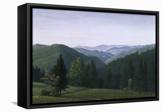 Vast Forest Landscape, 1937-Georg Schrimpf-Framed Stretched Canvas