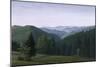 Vast Forest Landscape, 1937-Georg Schrimpf-Mounted Giclee Print