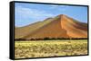 Vast Orange Dune at Sossusvlei Namib Naukluft Park Namibia-photogallet-Framed Stretched Canvas