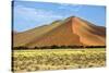 Vast Orange Dune at Sossusvlei Namib Naukluft Park Namibia-photogallet-Stretched Canvas