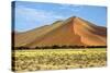 Vast Orange Dune at Sossusvlei Namib Naukluft Park Namibia-photogallet-Stretched Canvas