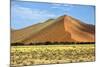 Vast Orange Dune at Sossusvlei Namib Naukluft Park Namibia-photogallet-Mounted Photographic Print