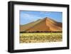 Vast Orange Dune at Sossusvlei Namib Naukluft Park Namibia-photogallet-Framed Photographic Print