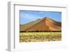 Vast Orange Dune at Sossusvlei Namib Naukluft Park Namibia-photogallet-Framed Photographic Print