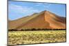 Vast Orange Dune at Sossusvlei Namib Naukluft Park Namibia-photogallet-Mounted Photographic Print