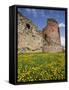 Vastseliina Castle Ruins, 14th Century, Vana-Vastseliina, Estonia-Walter Bibikow-Framed Stretched Canvas