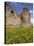 Vastseliina Castle Ruins, 14th Century, Vana-Vastseliina, Estonia-Walter Bibikow-Stretched Canvas