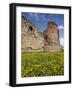 Vastseliina Castle Ruins, 14th Century, Vana-Vastseliina, Estonia-Walter Bibikow-Framed Photographic Print