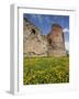 Vastseliina Castle Ruins, 14th Century, Vana-Vastseliina, Estonia-Walter Bibikow-Framed Photographic Print