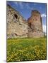 Vastseliina Castle Ruins, 14th Century, Vana-Vastseliina, Estonia-Walter Bibikow-Mounted Photographic Print
