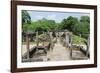 Vatadage, Quadrangle, Polonnaruwa, North Central Province, Sri Lanka, Asia-Christian Kober-Framed Photographic Print