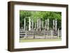 Vatadage, Quadrangle, Polonnaruwa, North Central Province, Sri Lanka, Asia-Christian Kober-Framed Photographic Print