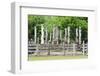 Vatadage, Quadrangle, Polonnaruwa, North Central Province, Sri Lanka, Asia-Christian Kober-Framed Photographic Print