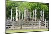 Vatadage, Quadrangle, Polonnaruwa, North Central Province, Sri Lanka, Asia-Christian Kober-Mounted Photographic Print