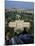 Vatican Gardens, St. Peter's, Rome, Lazio, Italy-Richard Ashworth-Mounted Photographic Print