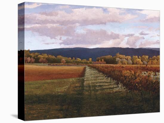 Vaucluse-Kent Lovelace-Stretched Canvas