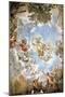 Vault Frescoed-Pietro da Cortona-Mounted Giclee Print