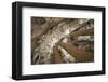 Vault in Santa Maria del Mar in Barcelona, Catalonia, Spain-null-Framed Art Print