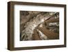 Vault in Santa Maria del Mar in Barcelona, Catalonia, Spain-null-Framed Art Print