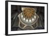 Vault of Dome of Cathedral, Hotel Des Invalides-null-Framed Giclee Print
