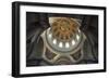 Vault of Dome of Cathedral, Hotel Des Invalides-null-Framed Giclee Print