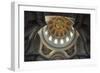 Vault of Dome of Cathedral, Hotel Des Invalides-null-Framed Giclee Print