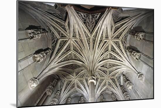 Vault of Gothic Chapel, Musee De Cluny, Paris, Ile-De-La-Cite, France-null-Mounted Giclee Print