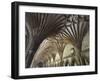 Vaulted Ceiling in the Cloister, Canterbury Cathedral, Canterbury, Kent-Ethel Davies-Framed Photographic Print