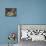 Vaulted Ceiling in the Cloister, Canterbury Cathedral, Canterbury, Kent-Ethel Davies-Mounted Photographic Print displayed on a wall