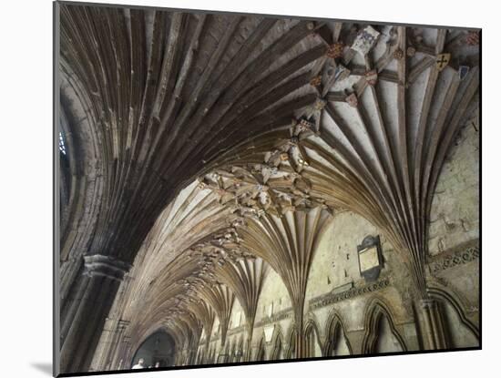 Vaulted Ceiling in the Cloister, Canterbury Cathedral, Canterbury, Kent-Ethel Davies-Mounted Photographic Print