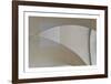 Vaulted Focus - Curve-Michael Banks-Framed Limited Edition