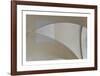 Vaulted Focus - Curve-Michael Banks-Framed Limited Edition